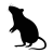 deratisation icone